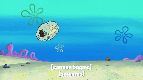 season 10 episode 6 GIF by SpongeBob SquarePants