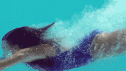 Gaspar GIF by Quintal Imóveis - Blumenau