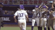 Home Run Softball GIF by Northwestern Athletics