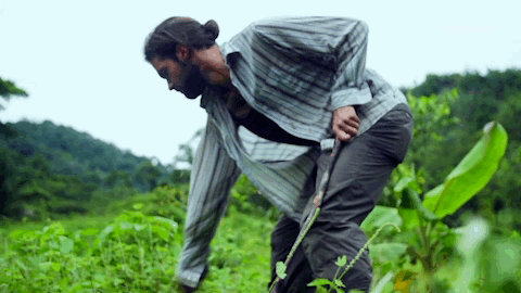 viceland GIF by JUNGLETOWN