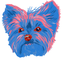 gabrielverasart dog blink yorkshire zoomies Sticker