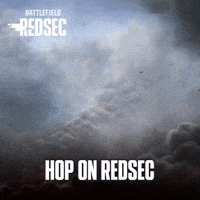 Flying Battle Royale GIF by Battlefield