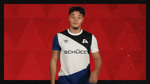 Arminia Bielefeld Football GIF by Bundesliga