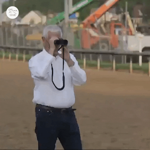 Sport See GIF by World Horse Racing