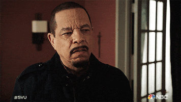 Special Victims Unit Nbc GIF by Law & Order