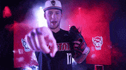 Nc State Baseball GIF by NCAA Championships
