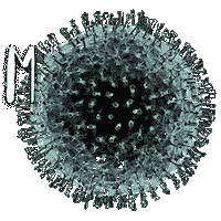 Alexandroupoli Evros Sticker by radioevros