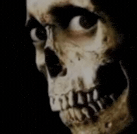 Skull Scared GIF