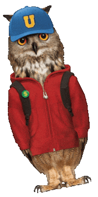Owl Sticker by Inceptia