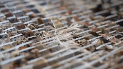 belarofe giphygifmaker GIF