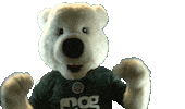 Celebrating Sticker by FC Groningen