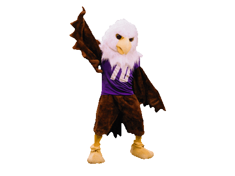 Unwsp Sticker by University of Northwestern - St. Paul