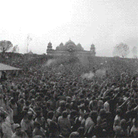 Holi Festival GIF
