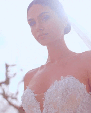 prettypeoplecentral giphygifmaker beauty wedding princess GIF