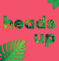 headmark marketing digital strategy digitalagency GIF