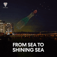 Independence Day Usa GIF by Virgin Voyages