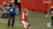 National Football League GIF by NFL