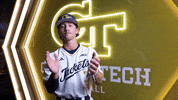 Georgia Tech Baseball GIF by Georgia Tech Yellow Jackets