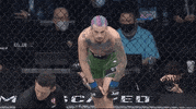 Mixed Martial Arts Sport GIF by UFC