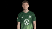 Three Points Win GIF by VfL Wolfsburg