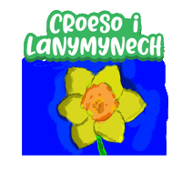 Ysgol Carreghwfa Sticker