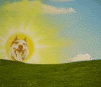 Good Morning Beautiful GIF by GIPHY Studios 2022