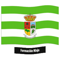 Santa Cruz De Tenerife Bandera Sticker by Formación Ninja