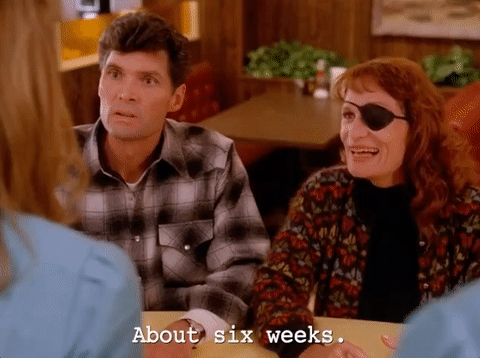 season 2 GIF by Twin Peaks on Showtime
