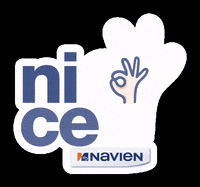 NavienInc installation plumbing plumber contractor GIF