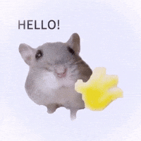 Hello GIF