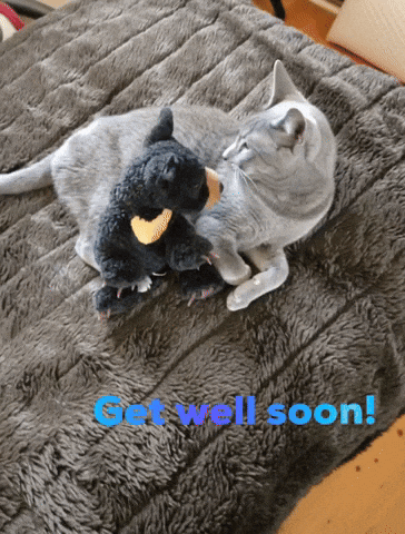 lynettearden get well soon GIF