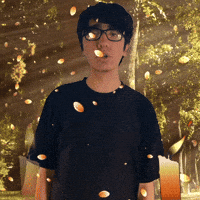 Falling Leaves Fall GIF
