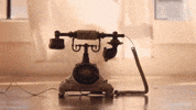 Lisa Danae Music GIF by Lisa Danaë