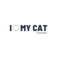 I Love My Cat Sticker by Fetch Vets