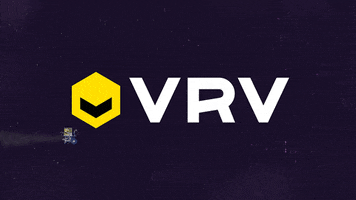 werk excercise GIF by VRV