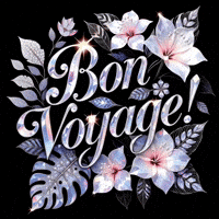 Bon Voyage Bling GIF by TresorsDuMonde.ca