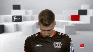 Bayer 04 Hello GIF by Bundesliga