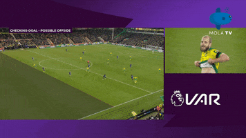 Norwichcity GIF by MolaTV
