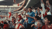 Celebration Fans GIF by Budweiser