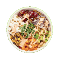 bowl salad Sticker by Saladworks