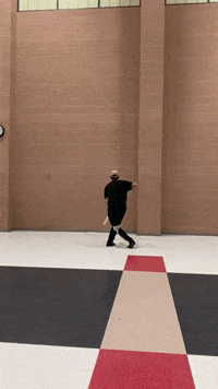 thatguywhospins rifle colorguard thatguywhospins GIF