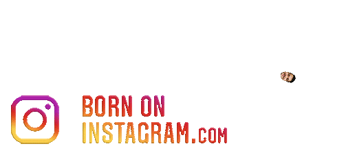 Anshujpegboiuu Sticker by BORN ON INSTAGRAM