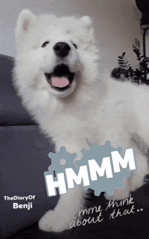 Thinking No GIF