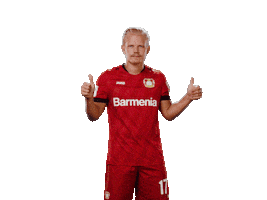 Bayer 04 Yes Sticker by Bayer 04 Leverkusen