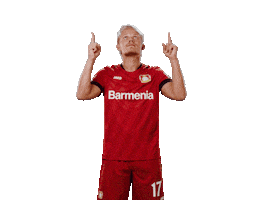 Swipe Up Bayer 04 Sticker by Bayer 04 Leverkusen
