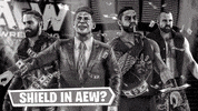 ElementGames wwe the shield roman reigns seth rollins GIF