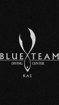 Blueteamdiving blueteamdivingcenter blueteamdiving GIF