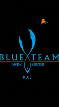 Blueteamdiving blueteamdivingcenter blueteamdiving GIF