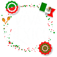Viva Mexico Sticker by Casa Tequilera Viva México
