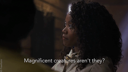 tv show disney GIF by Beyond